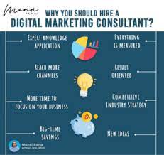 search marketing experts