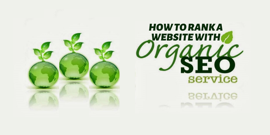 organic seo services