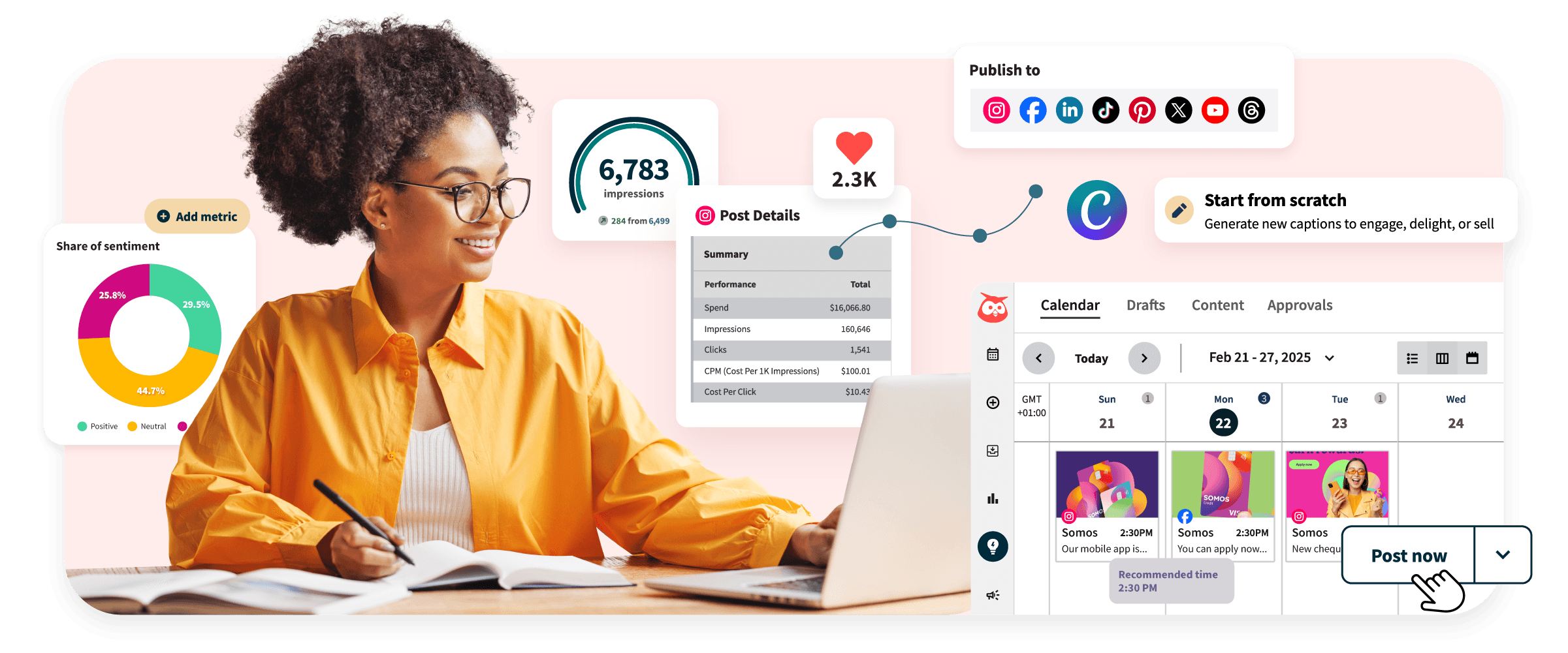 local search seo services