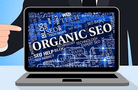 organic seo expert